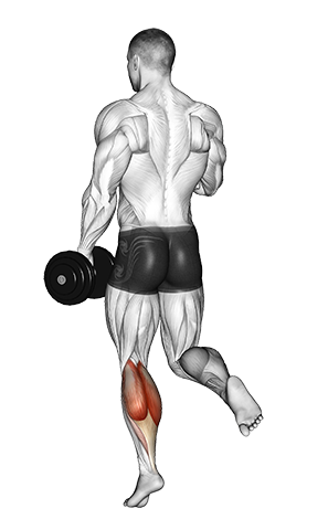 Exercise Database Calves8 Single Leg Dumbbell Calf Raises Jase Stuart The Better Body Coach